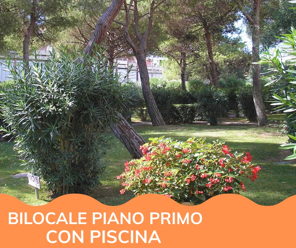 Marina di Bibbona Bilocale piano primo con piscina