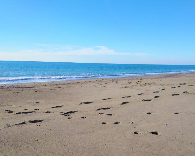 MARINA DI BIBBONA TOSCANA  AFFITTO APPARTAMENTI MONOLOCALE IN RESIDENCE CON PISCINA, 4 posti letto